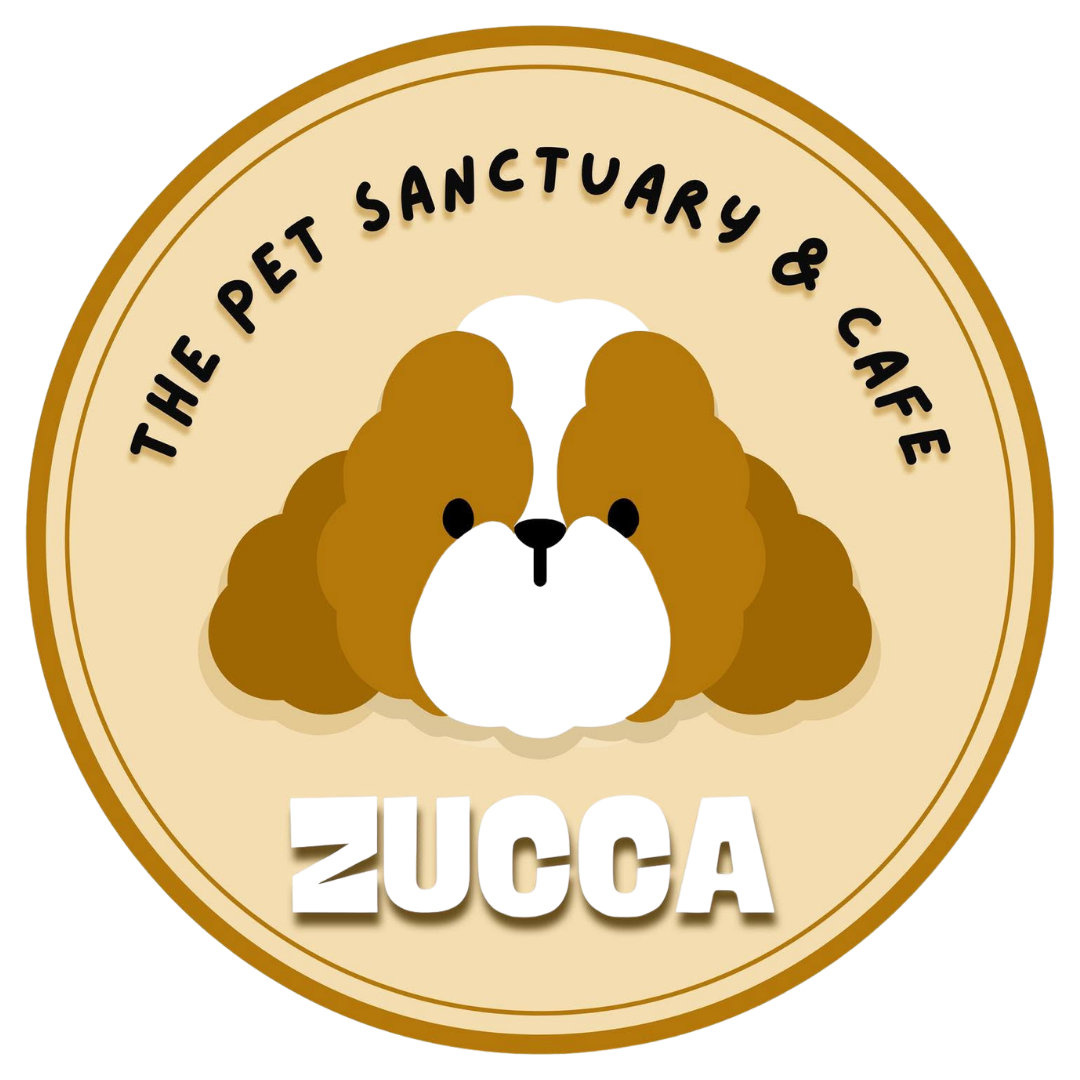 Zucca - The Pet Sanctuary & Cafe — F&B · Retail · ลูกค้า InHouse Smart Film