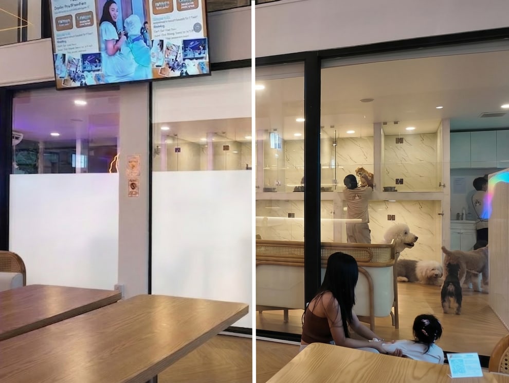 คาเฟ่สัตว์ Pet Cafe โรงแรมสัตว์ Pet Hotel ติดตั้งฟิล์มไฟฟ้า Smart Film Aquaris กันชื้น zone separation · Zucca Pet Sanctuary Cafe · InHouse