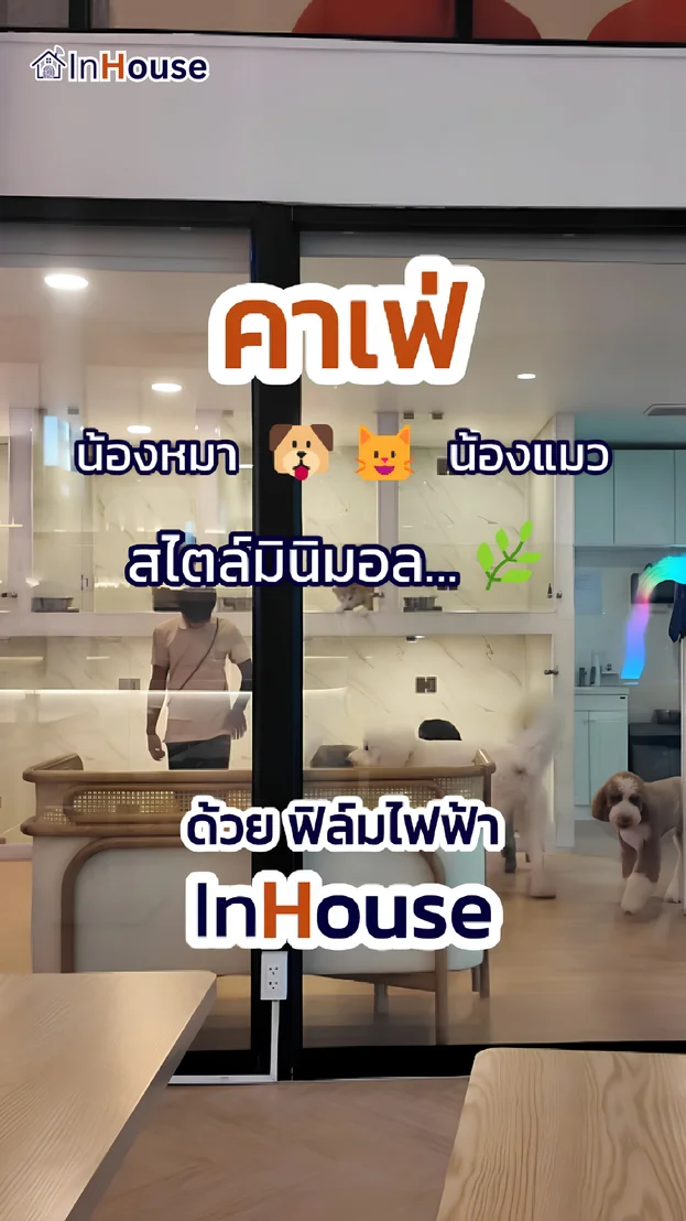 วิดีโอผลงานติดตั้ง ฟิล์มไฟฟ้า Zucca – คาเฟ่สัตว์เลี้ยง